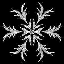 snowflake1
